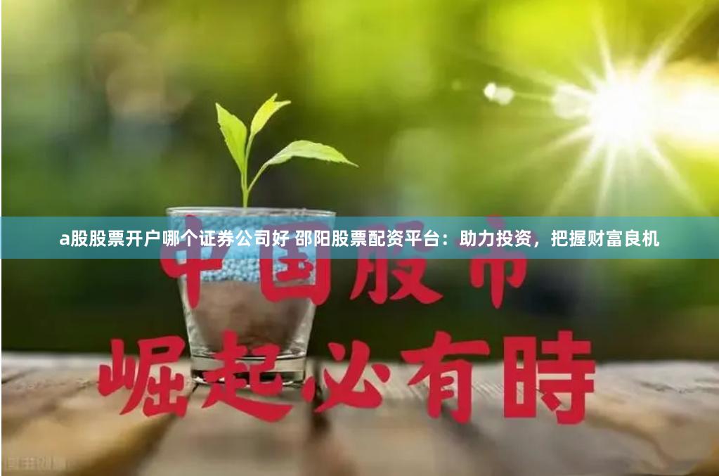 a股股票开户哪个证券公司好 邵阳股票配资平台：助力投资，把握财富良机