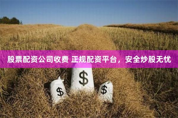 股票配资公司收费 正规配资平台，安全炒股无忧
